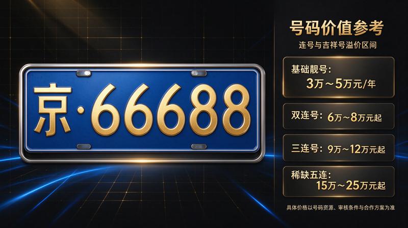 企业车辆牌照管理